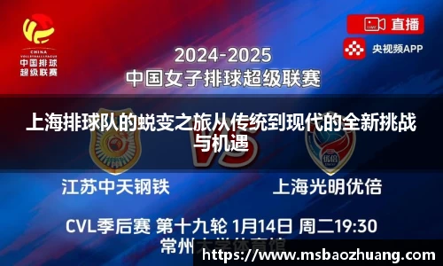 上海排球队的蜕变之旅从传统到现代的全新挑战与机遇